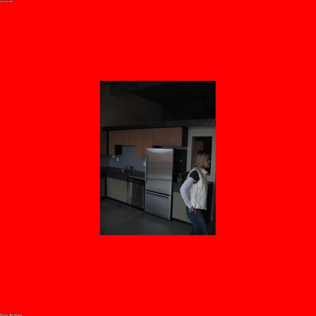 Stainless Steel Refrigerator