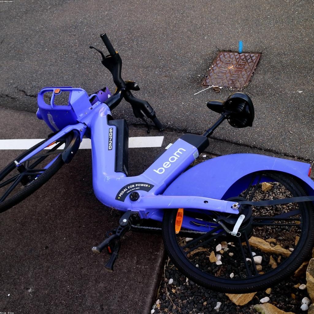Adult Mountain Bike